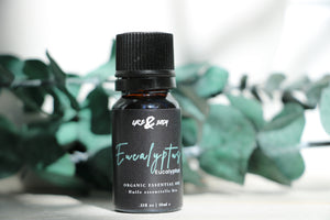 Organic Eucalyptus Essential Oil